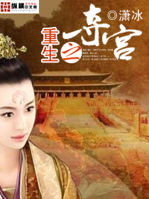 《重生之侧妃夺宫》（校对版全本）作者：潇冰 百度云txt全集下载 封面
