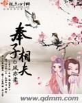 《奉子相夫》（校对版全本+番外）作者：凤亦柔 百度云txt全集下载 封面