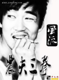 《农夫三拳》(校对版全本)作者:风流 百度云txt全集下载 封面