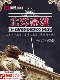 《北洋枭雄》（校对版全本）作者：雨天下雨 百度云txt全集下载 封面