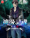 《神级灵魂》（校对版全本）作者：木恒 百度云txt全集下载 封面