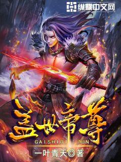 《盖世帝尊》（校对版全本）作者：一叶青天 百度云txt全集下载 封面