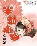 《半劫小仙》（校对版全本+番外）作者：o滴神 百度云txt全集下载 封面