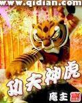 《功夫神虎》（校对全本）作者：庵主 百度云txt全集下载 封面