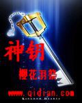 《神钥》（精校全本）作者：聿旸 百度云txt全集下载 封面