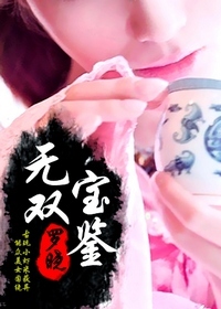 《无双宝鉴》（校对版全本）作者：罗晓 百度云txt全集下载 封面
