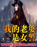 《我的老婆是女警》（校对版全本）作者：木士 百度云txt全集下载 封面