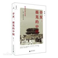 《辛亥：摇晃的中国》（实体版全本）作者：张鸣 百度云txt全集下载 封面