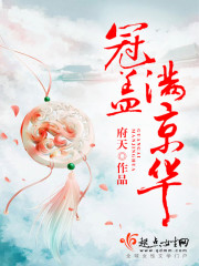 《冠盖满京华》（校对版全本）作者：府天 百度云txt全集下载 封面