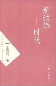 《新结婚时代》(实体版全本)作者:王海鸰 百度云txt全集下载 封面