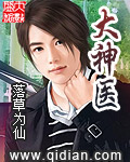 《大神医》（校对版全本）作者：落地为仙 百度云txt全集下载 封面