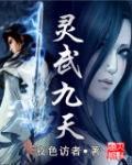 《灵武九天》（校对版全本）作者：夜色访者 百度云txt全集下载 封面