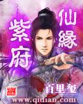 《紫府仙缘(虛境修仙)》（校对版全本）作者：百里玺 百度云txt全集下载 封面