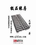 《极品账房》（校对版全本）作者：天净沙秋思 百度云txt全集下载 封面