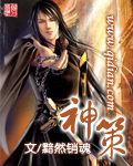 《神策》（精校版全本）作者：黯然销魂 百度云txt全集下载 封面