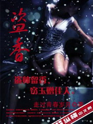 《盗香》（校对版全本）作者：走过青春岁月 百度云txt全集下载 封面