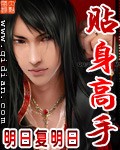 《贴身高手》（校对版全本）作者：明日复明日 百度云txt全集下载 封面