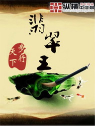 《翡翠王》（校对版全本）作者：步行天下 百度云txt全集下载 封面
