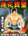《莲花宝鉴》(精校版全本)作者:油炸包子 百度云txt全集下载 封面