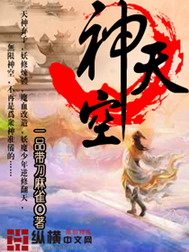 《神天空》（校对版全本）作者：一品带刀麻雀 百度云txt全集下载 封面