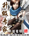 《升级专家》（校对版全本）作者：暗魔师 百度云txt全集下载 封面