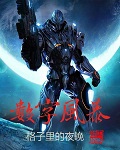《数字风暴》(校对版全本)作者:格子里的夜晚 百度云txt全集下载 封面
