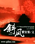 《斜风》（校对版全本）作者：紫钗恨 百度云txt全集下载 封面