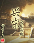《兴宋》（校对版全本）作者：赤虎 百度云txt全集下载 封面