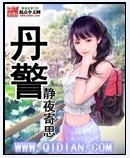 《丹警》（校对版全本）作者：静夜寄思 百度云txt全集下载 封面