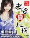《老婆爱上我》（校对版全本）作者：傲无常 百度云txt全集下载 封面