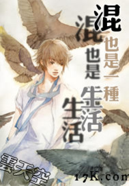 《混也是一种生活》(校对版全本)作者:云天空 百度云txt全集下载 封面
