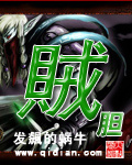 《贼胆》(校对版全本)作者:发飙的蜗牛 百度云txt全集下载 封面