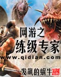 《网游之练级专家》（校对版全本）作者：发飙的蜗牛 百度云txt全集下载 封面