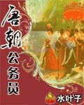 《唐朝公务员》（校对版全本）作者：水叶子 百度云txt全集下载 封面