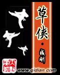 《草侠》（校对版全本）作者：成钢 百度云txt全集下载 封面