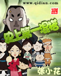 《史上第一混搭》(校对版全本)作者:张小花 百度云txt全集下载 封面