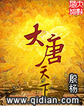 《大唐天下》（校对版全本）作者：殷扬 百度云txt全集下载 封面