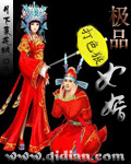 《极品女婿》(校对版全本)作者:月下菜花贼 百度云txt全集下载 封面