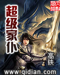 《超级家仆》(校对版全本)作者:高铁 百度云txt全集下载 封面