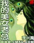 《我的美女老总》(校对版全本)作者:李兴禹 百度云txt全集下载 封面
