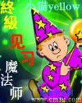 《终极见习魔法师》(精校版全本)作者:小猫yellow 百度云txt全集下载 封面