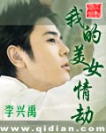《我的美女情劫》(校对版全本)作者:李兴禹 百度云txt全集下载 封面