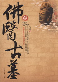 《佛医古墓》(校对版全本)作者:飞天 百度云txt全集下载 封面