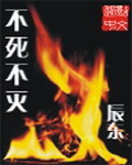 《不死不灭》（校对版全本）作者：辰东 百度云txt全集下载 封面