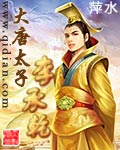 《大唐太子李承乾》（校对版全本）作者：萍水 百度云txt全集下载 封面