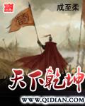 《天下乾坤》（校对版全本）作者：成至柔 百度云txt全集下载 封面