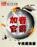 《加官晋爵》（校对版全本）作者：午夜浓茶 百度云txt全集下载 封面