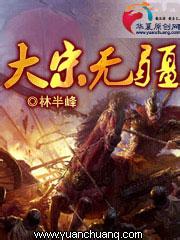 《大宋无疆》（校对版全本）作者：林半峰 百度云txt全集下载 封面
