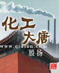 《化工大唐》（校对版全本）作者：殷扬 百度云txt全集下载 封面