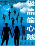 《极品偷心贼》（校对版全本）作者：徐亮雨 百度云txt全集下载 封面